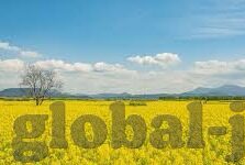 02年世界杯 国外报道-02年世界杯，国外媒体眼中的足球盛宴