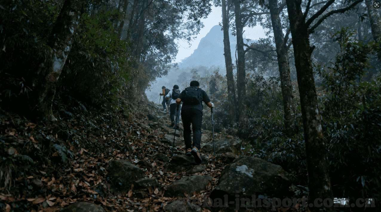 世界杯俄罗斯比赛场馆-世界杯俄罗斯，探索比赛场馆的奥秘